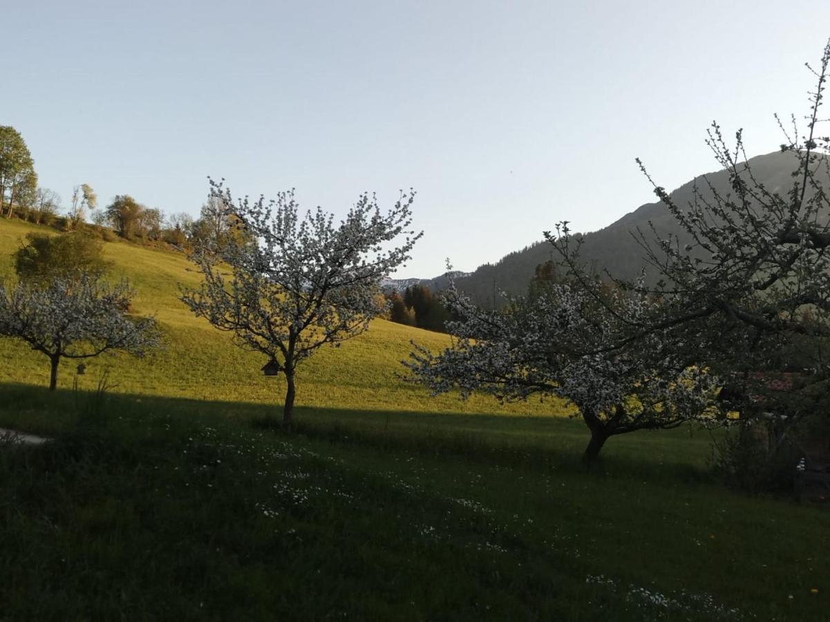 Pension Woetzinghof Кирхберг Экстерьер фото